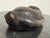Late 20th Century West African Dan Tribe Carved Wood Mask For Sale - Image 5 of 12