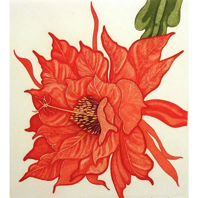 Arnold Iger "Orchid Cactus" Hand Signed Fine Art Etching Floral Unframed Realism 1981 For Sale