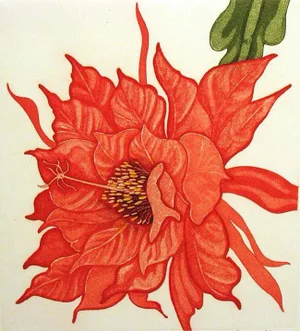 Arnold Iger "Orchid Cactus" Hand Signed Fine Art Etching Floral Unframed Realism 1981