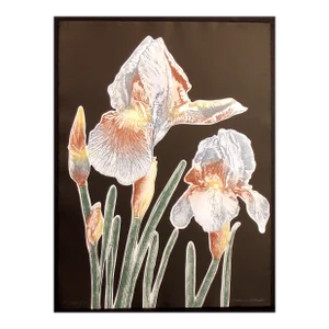 Catherine O'Connor "Iris Odyssey II (Black)" Hand Signed Etching Floral Artwork