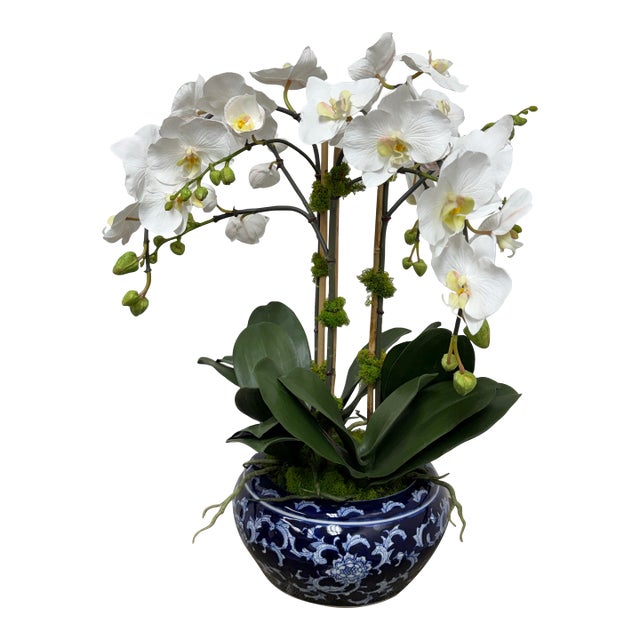 Winward Home Orchid in a Fishbowl For Sale