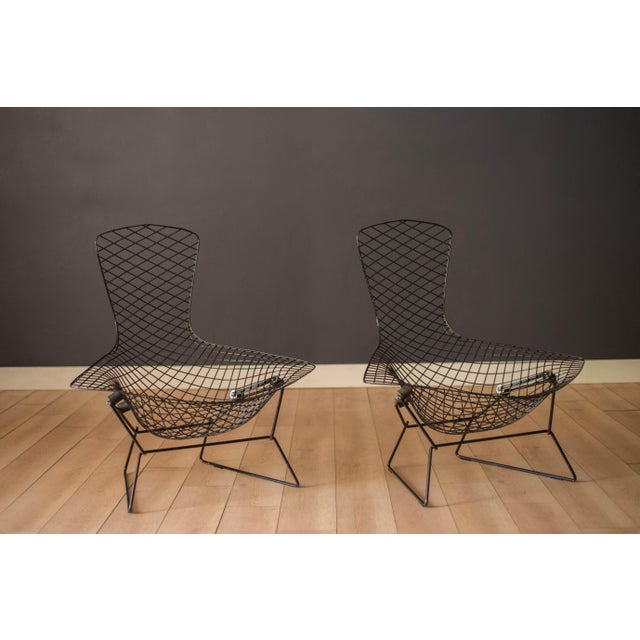 Mid Century Modern Pair of 'Bird' Wire Lounge Chairs designed by Harry Bertoia for Knoll Associates, circa 1960's. This...