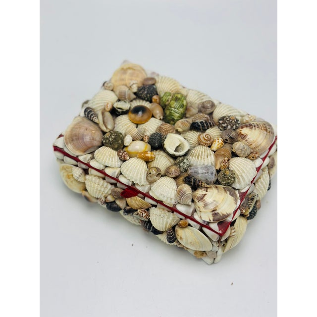Coastal Vintage Shell Box For Sale - Image 3 of 7