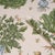 2020s Schumacher Green Grocer Wallpaper In Parchment For Sale - Image 5 of 5