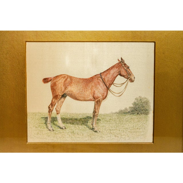 Rare Pair Antique English Horse Portraits on Silk Hand Painted Equestrian Sporting Art Home Decor For Sale - Image 9 of 17