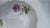 Porcelain Espresso Cup and Saucer with Hand-Painted Aster German Flowers from Meissen, 1950s, Set of 2 For Sale - Image 6 of 10