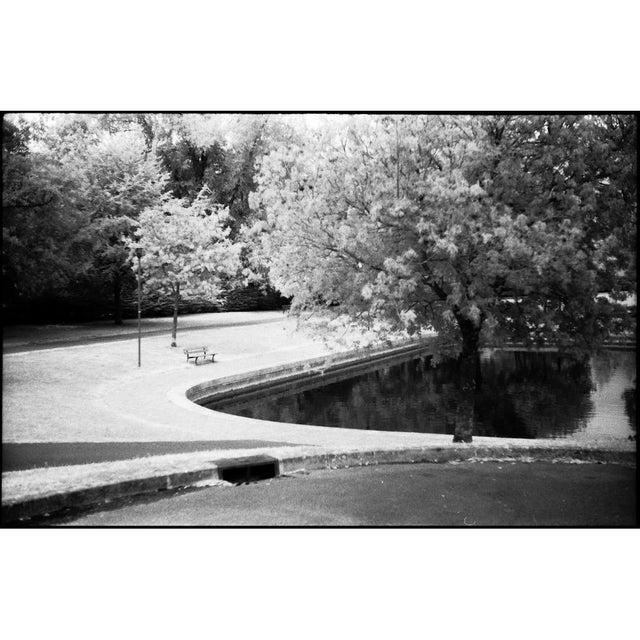Not Yet Made - Made To Order Paul Cooklin, Park, Edition of 50 For Sale - Image 5 of 5