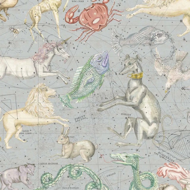 House of Hackney Cosmos Wallpaper - Celestial Blue, Sample For Sale