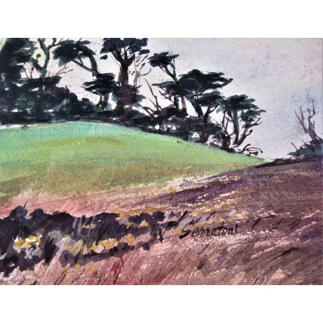 Frank Serratoni, Cypress For Sale - Image 4 of 5