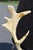 Attributed to Arthur Court Antler Side Chair 1970s For Sale - Image 11 of 18