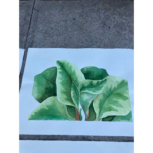 1970s 1970’s 4 Original Large Watercolor Paintings Palm Plants by Sharon Greenberg-Set of 4 For Sale - Image 5 of 7