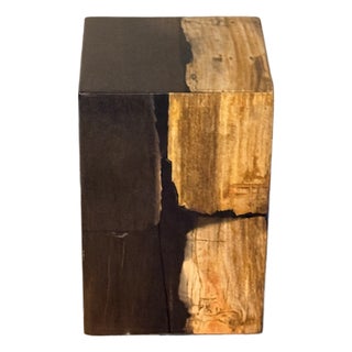 Made Goods Teo Mix Petrified Wood Stool or Side Table For Sale