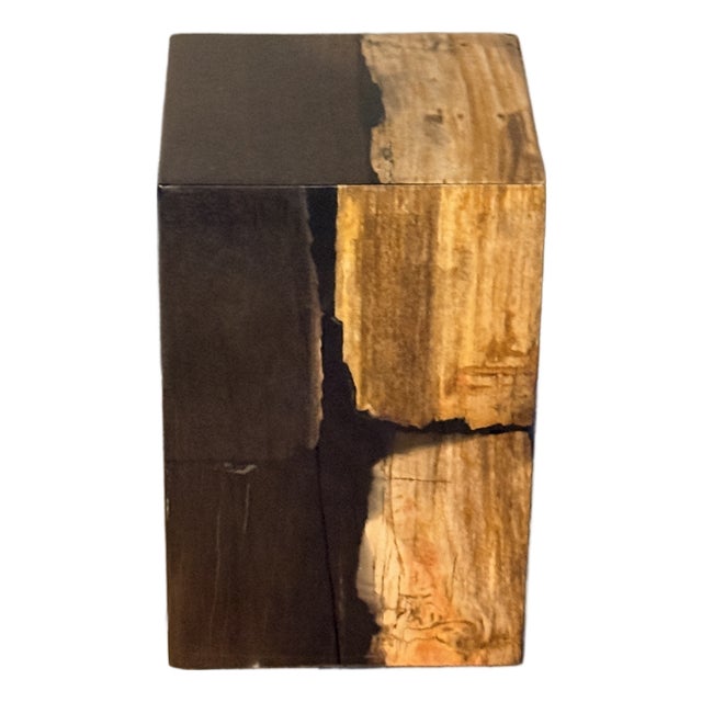 Made Goods Teo Mix Petrified Wood Stool or Side Table For Sale