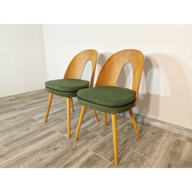 Set of Dining Chairs by Antonin Suman, 1960s For Sale - Image 10 of 16
