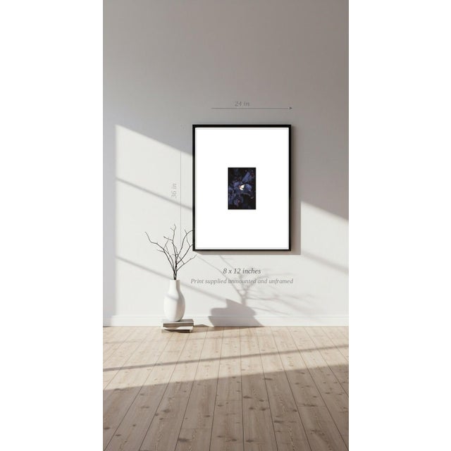 Paul Cooklin, Aquilegan, Edition of 50 For Sale - Image 6 of 7