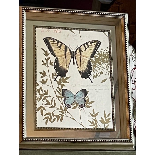 Illustration 1990s Chad Barrett, Butterfly Print Mirrored Framed Shadowbox For Sale - Image 3 of 11