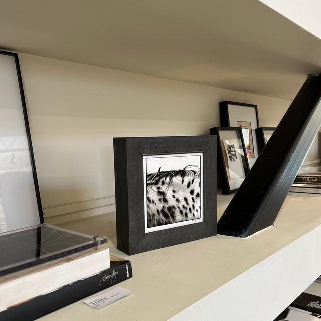 "Spotted Mane" Limited Edition Print by Rob Brinson For Sale - Image 4 of 13