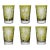 ARTEL Primeval Palms Tumbler in Olive - Set of 6 For Sale