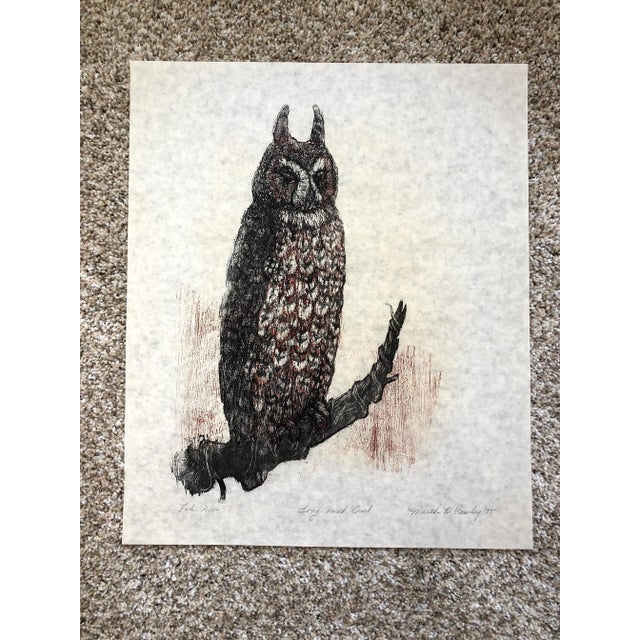1975 Martha Cawley Woodblock Print, Long-Eared Owl, #1/100 For Sale In Baltimore - Image 6 of 7