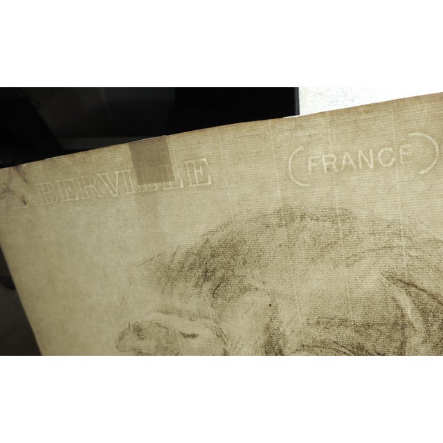 Late 19th Century Cat Study Drawing For Sale - Image 4 of 5