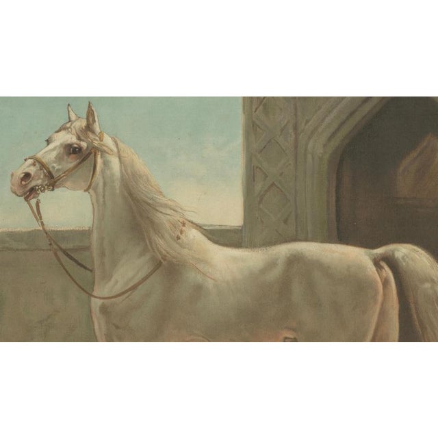 Paper After Otto Eerelman, Persian Horse, 1898, Lithograph on Paper For Sale - Image 7 of 9