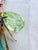 Attributed Schreiner Mid Century Insect Brooch Reverse Set Rhinestones Fly Bug For Sale In Salt Lake City - Image 6 of 14