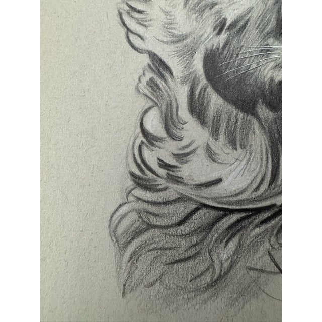 Illustration 1940s Original Signed Graphite Illustration of German Shepherd Dog Portrait, 10.75 × 8 In. For Sale - Image 3 of 6
