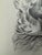 Illustration 1940s Original Signed Graphite Illustration of German Shepherd Dog Portrait, 10.75 × 8 In. For Sale - Image 3 of 6