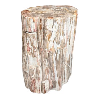 Andrianna Shamaris Coral Toned Ancient Petrified Wood Side Table For Sale