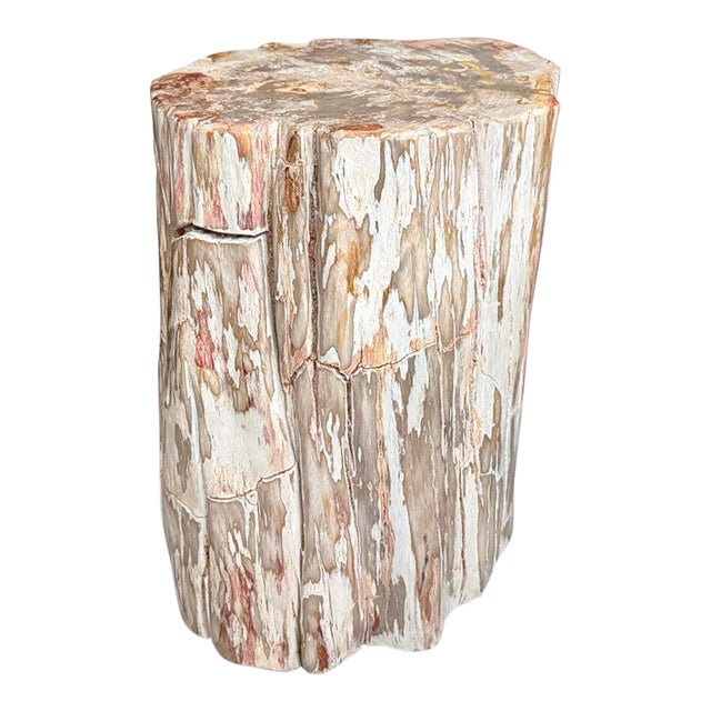 Andrianna Shamaris Coral Toned Ancient Petrified Wood Side Table For Sale
