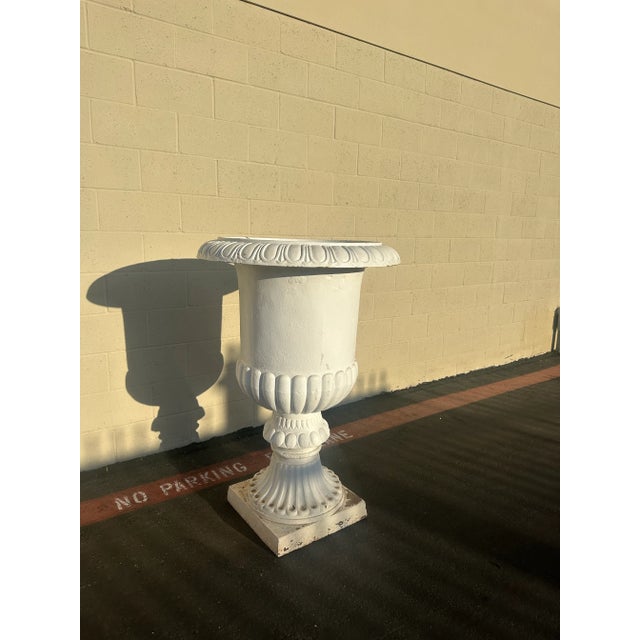 This is a large vintage cast iron urn from the 1960s, finished in a classic white paint that highlights its elegant...