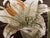 Modern Floral Embroidered Decorative Accent Satin Lumbar Pillow Cover For Sale - Image 3 of 7