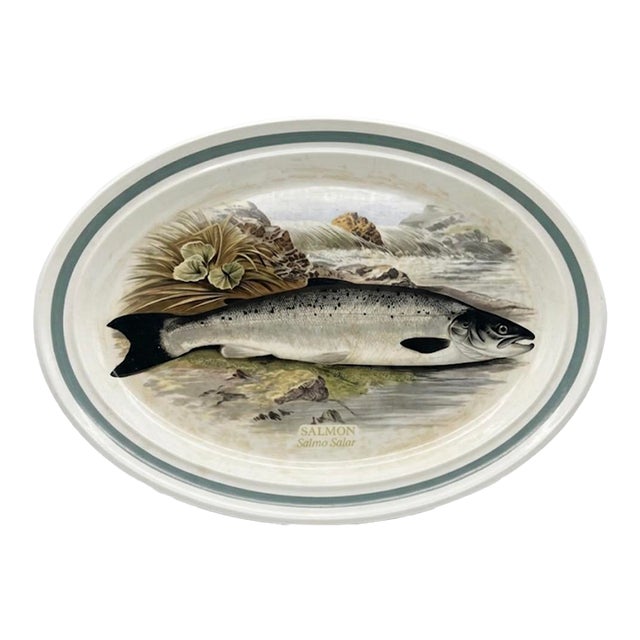 1980s Portmeirion Compleat Angler Salmon Fish Oval Platter 14" For Sale