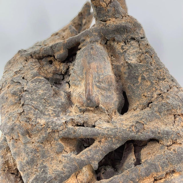 The use of fetishes among the Vodun practitioners of Benin is widespread, and in fact, they are a vital part of the daily...