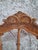 Antique Carved Louis XVI Flying Chairs, 1890s, Set of 2 For Sale - Image 3 of 10