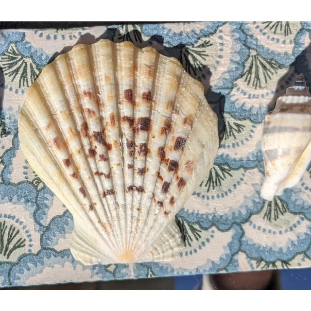 One of a Kind Pierre Frey Decoupaged Seashell Wall Mirror For Sale - Image 13 of 13