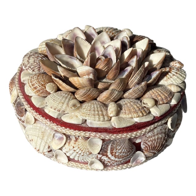 Vintage Palm Beach / Coastal Style Round Shell Encrusted Lidded Box For Sale