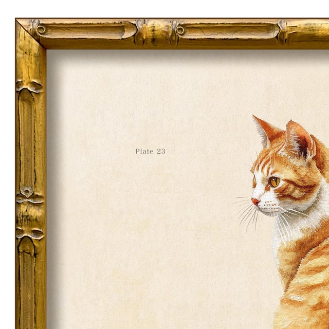Various Artists Reproduction Art Print of Vintage “Le Chat" Illustration (Cat 1), Framed For Sale - Image 4 of 4