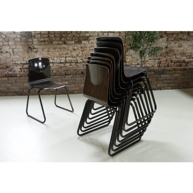 Wood S23 Chair from Galvanitas, Netherlands, 1960s For Sale - Image 7 of 18