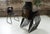 Wood S23 Chair from Galvanitas, Netherlands, 1960s For Sale - Image 7 of 18