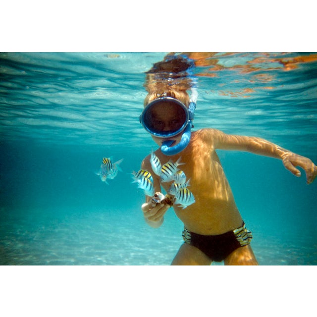 Boy in Bermuda by Toni Frissell Fishy friends and underwater snorkelling on a beach in Bermuda, 1956. (Toni Frissell)...