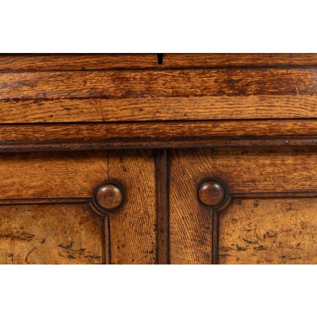 19th Century English Pollard Oak Bookcase For Sale - Image 9 of 10