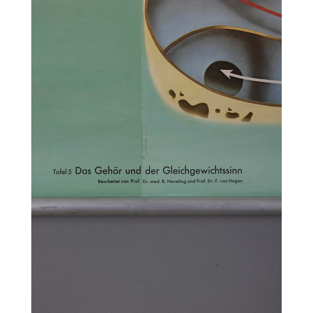 Industrial Vintage School Poster Hearing and Balance from Lehrmittelverlag Wilhelm Hagemann, 1970s For Sale - Image 3 of 10