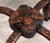 Vintage Chinese Carved Rosewood Pedestal Stand With Marble Top For Sale - Image 4 of 12