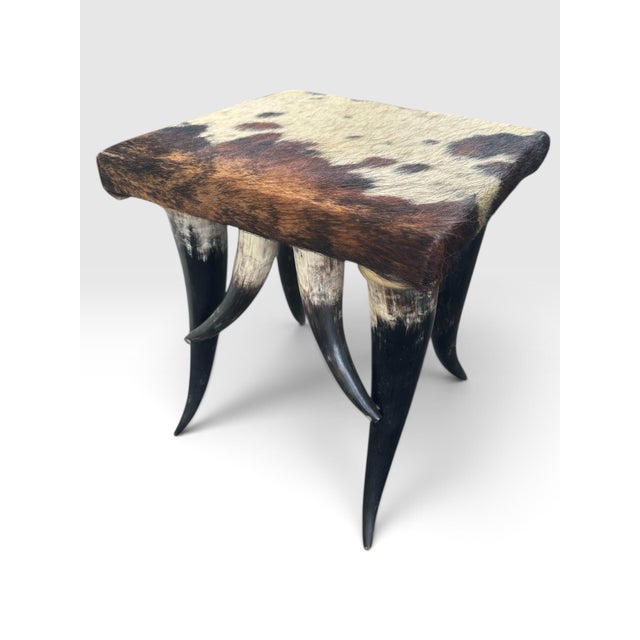 Early 20th Century Rare Vintage Southwest Style Sculptural Texas Longhorn & Cowhide 5-Piece Living Room Suite. For Sale - Image 5 of 12