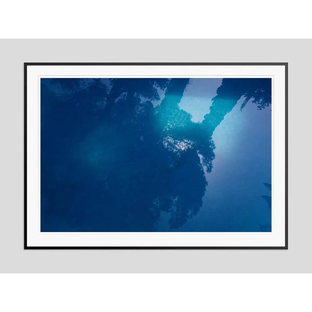 Blue' by Stuart Möller The sun filters through from behind some trees reflected in a pool. 2013 photo by Stuart Möller....