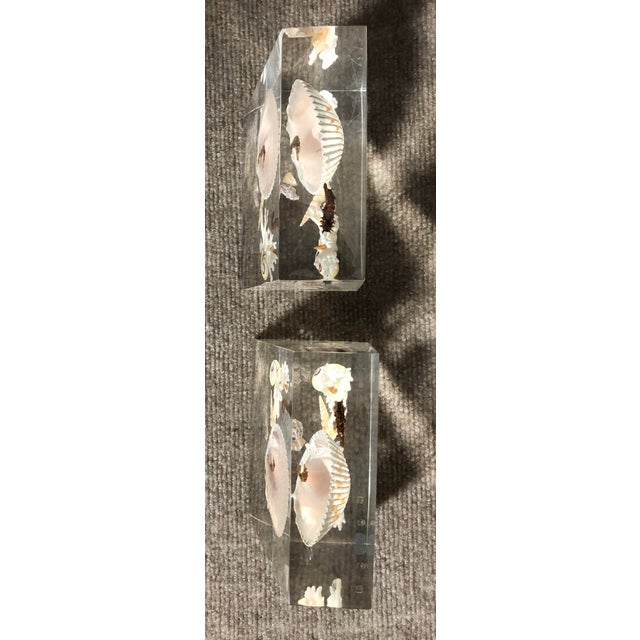 Mid 20th Century Pair of Whimsical Clear Bookends With Seashells and Seahorse For Sale - Image 12 of 12
