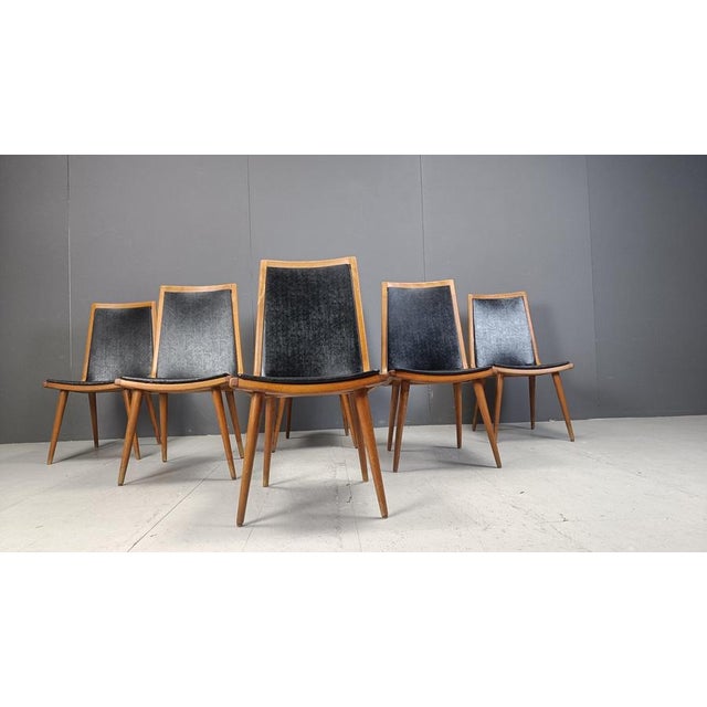 1950s Mid-Century Italian Dining Chairs, 1950s, Set of 6 For Sale - Image 5 of 11