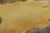 2020s Rug & Kilim’s Contemporary Cowhide Solid Rug in Warm Camel Hues For Sale - Image 5 of 9