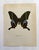 Up for sale is this gorgeous lithograph by F. Prochazka, published in Great Britain in 1965. It is in excellent, gently-...